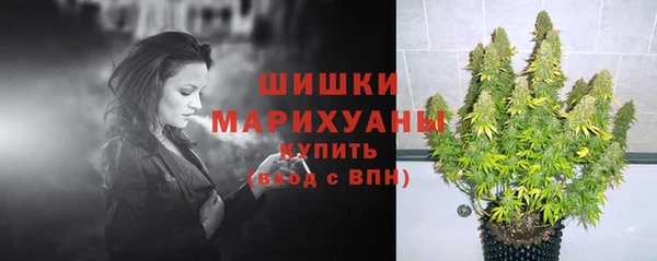 apvp Горняк