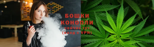 apvp Горняк