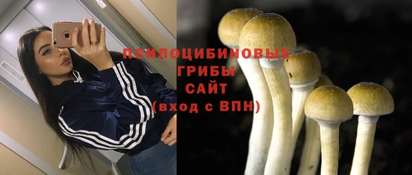 mix Горнозаводск