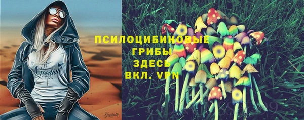 mix Горнозаводск