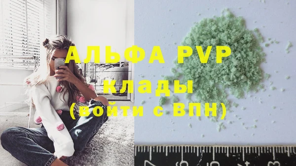 apvp Горняк