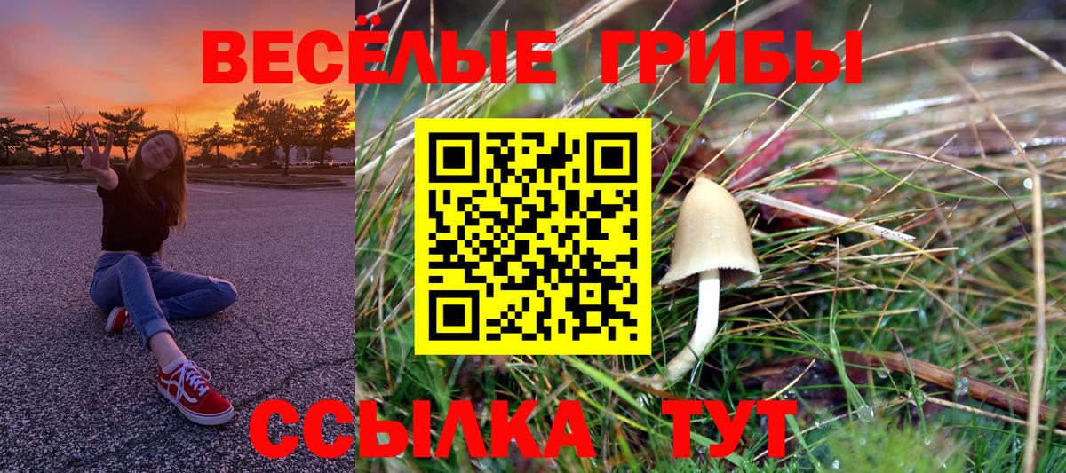 Псилоцибиновые грибы Psilocybine cubensis Москва