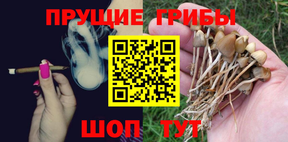 Галлюциногенные грибы Psilocybine cubensis  дарнет шоп  Галлюциногенные грибы Psilocybe  Москва  Вход с VPN 